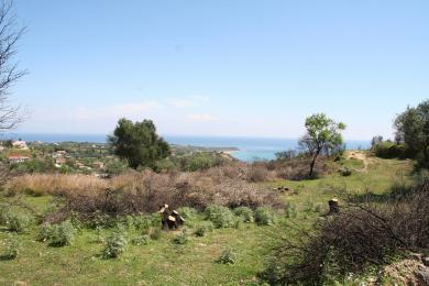 Agricultural Land Plot Sale - RATZAKLI, MUNICIPALITY OF ELIOS - SOUTHEAS