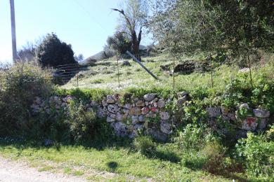 Land Sale - ANNINATA, MUNICIPALITY OF ELIOS - SOUTHEAS