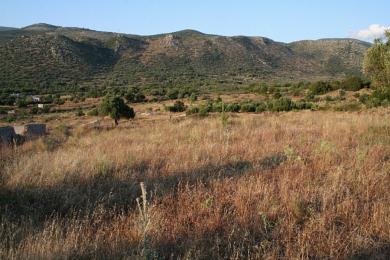 Agricultural Land Plot Sale - KOKYLIA, MUNICIPALITY OF ARGOSTOLI - SOUT