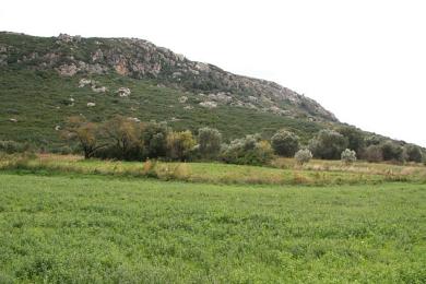 Agricultural Land Plot Sale - ANO KATELIOS, MUNICIPALITY OF ELIOS - SOUTHEAS